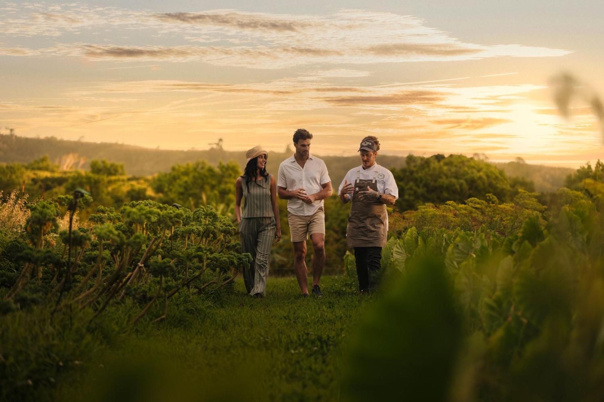 The Ritz-Carlton Maui, Kapalua Hotel Лахайна Екстериор снимка